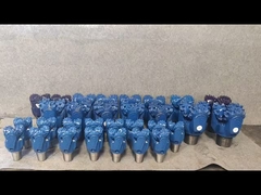 12 1/4-537-Sonho Real